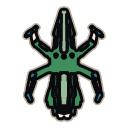 Spider hull, top-down